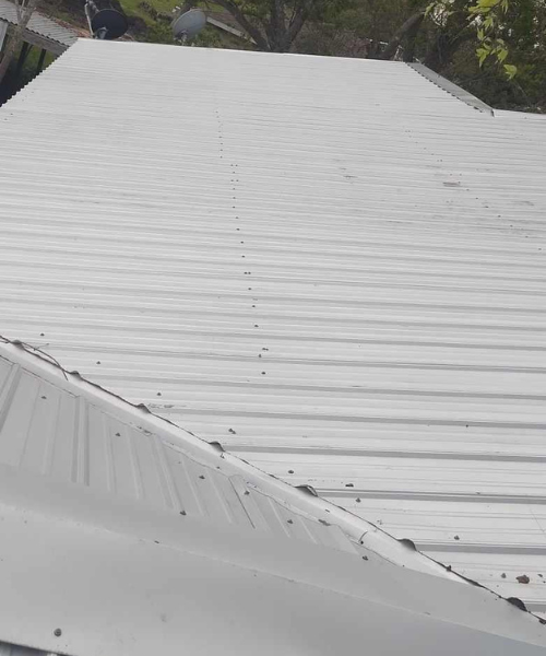 A white metal roof with a bird sitting on top of it